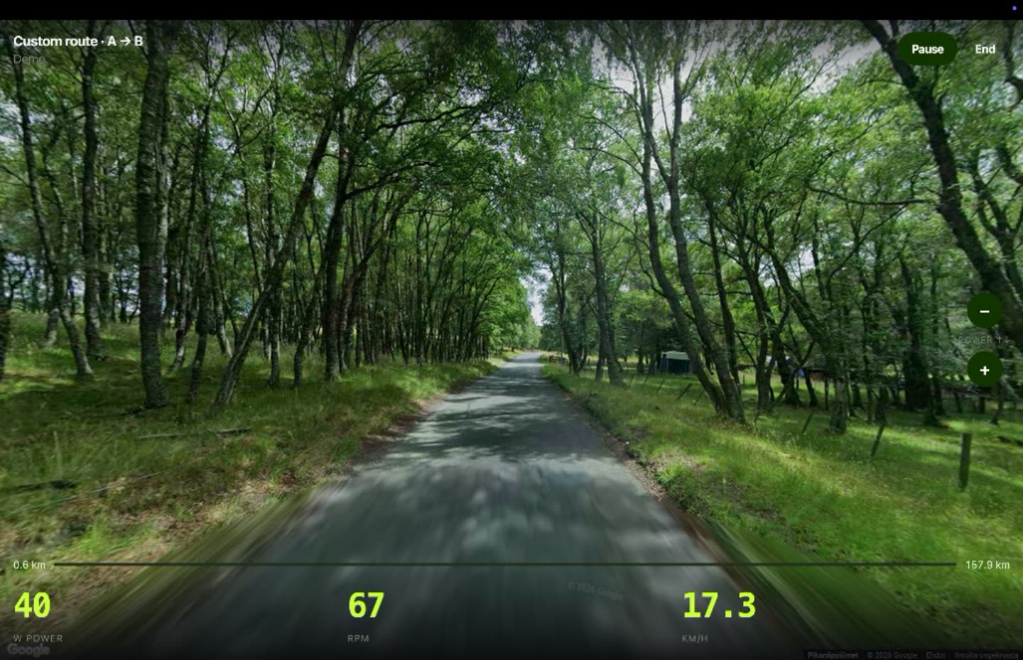 Forest road indoor cycling in Google Street View